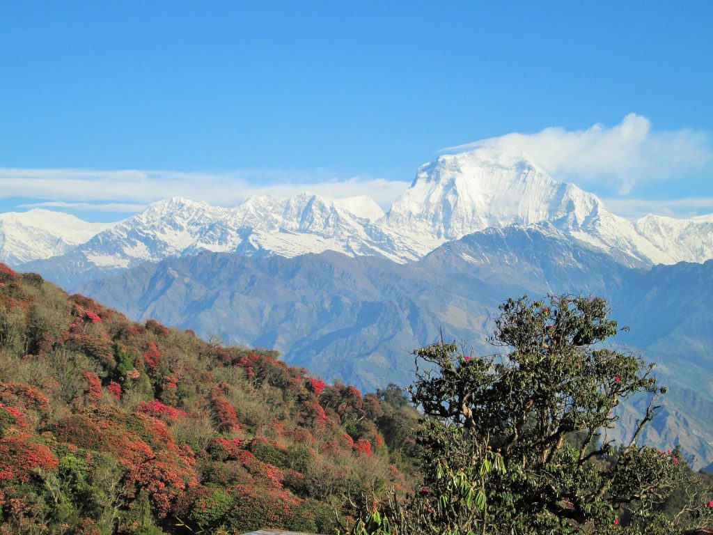view from pokhara