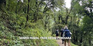 mardi Himal Trek from Pokhara